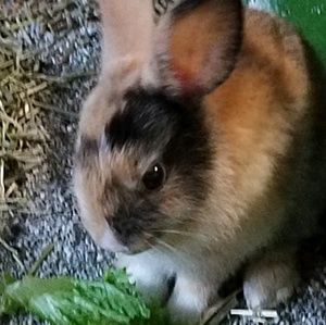 Meet your Posher, Sandra